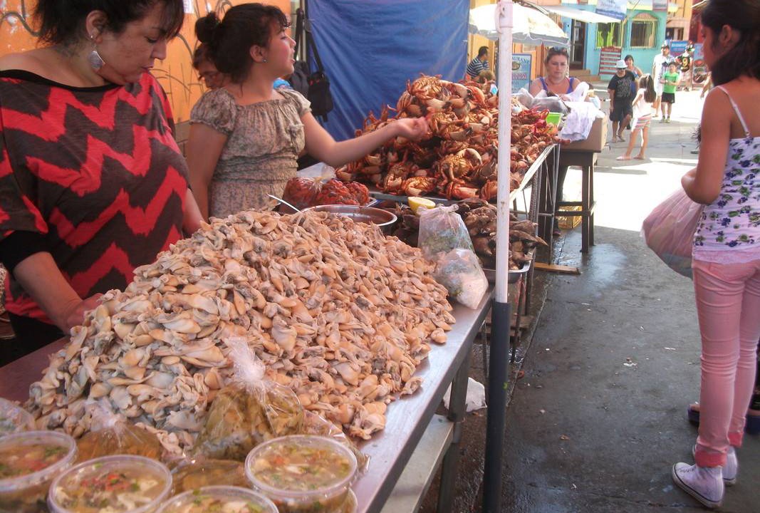 Photo of Others in Concepcion