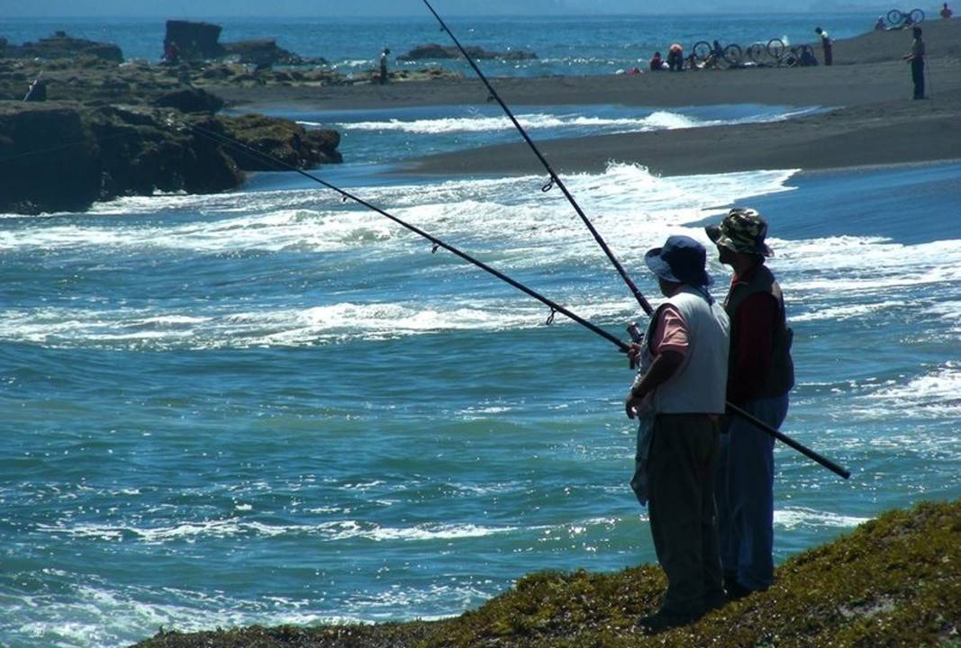 Photo of Others in Biobio
