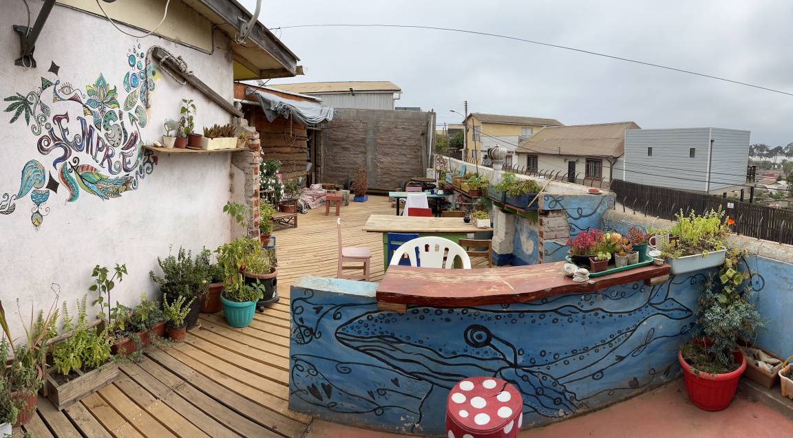 Photo of Others in Pichilemu