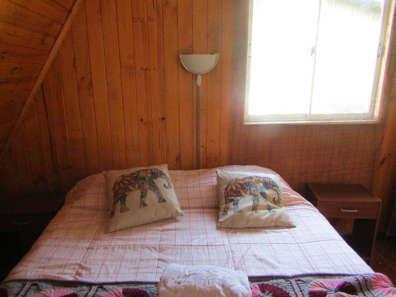 Photo of Others in Pichilemu