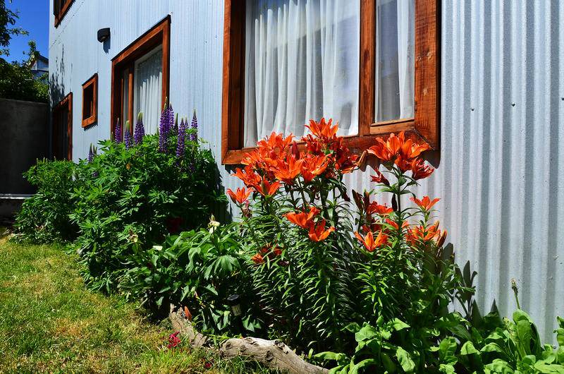 Photo of Others in Puerto Natales