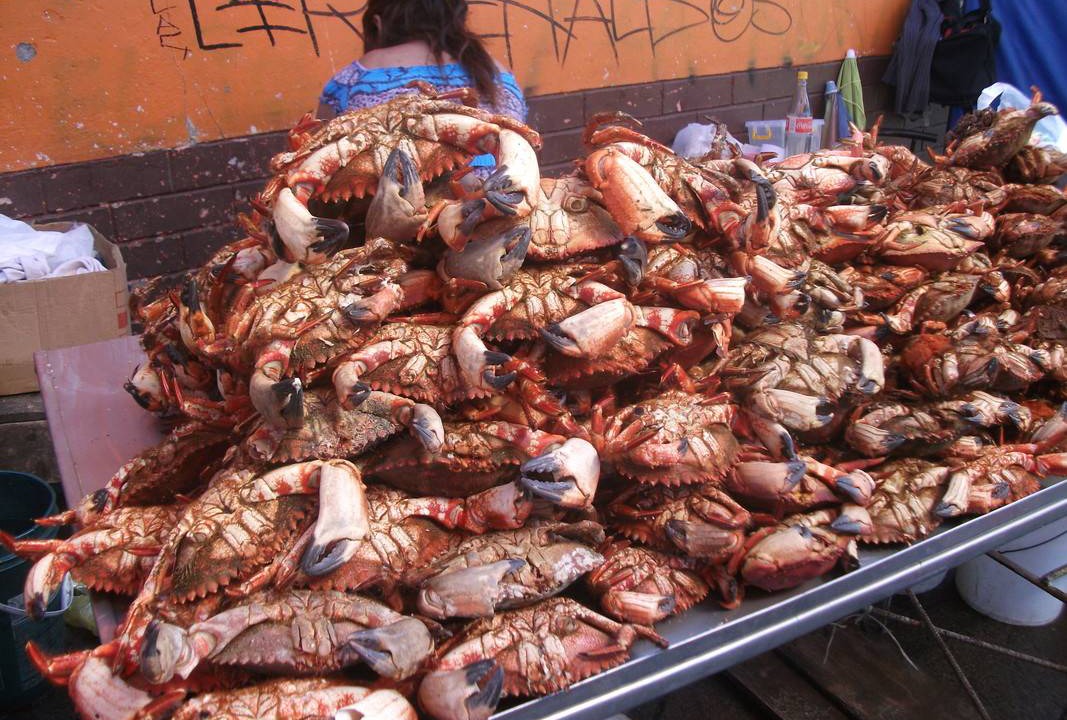 Photo of Others in Concepcion