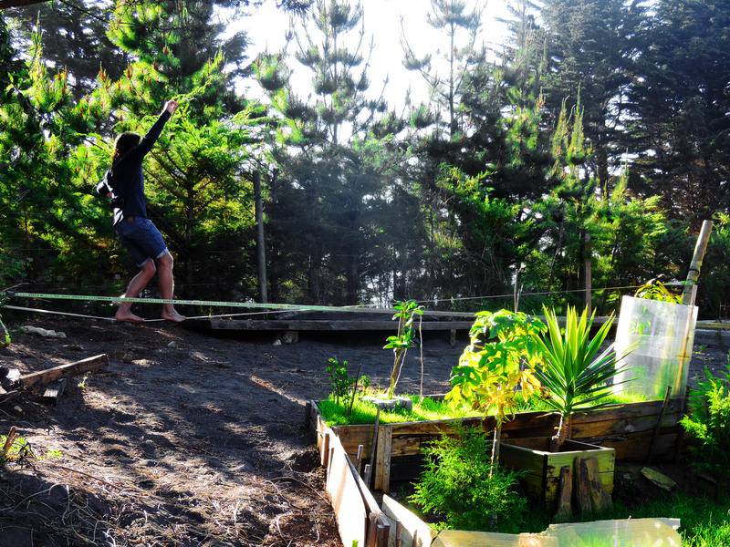Photo of Others in Pichilemu
