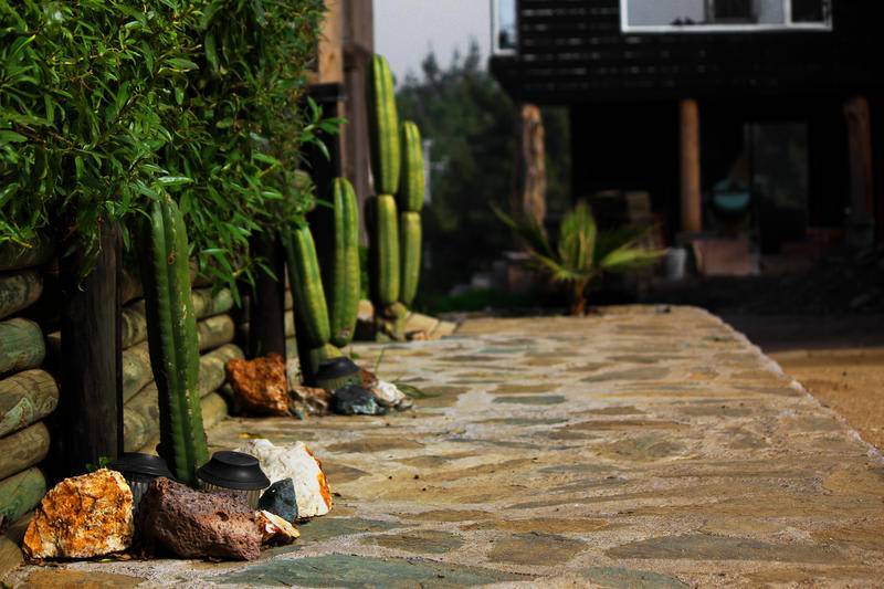 Photo of Others in Pichilemu