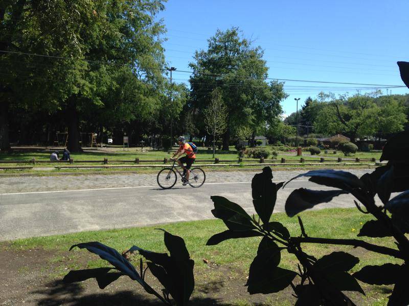 Photo of Others in Pucon