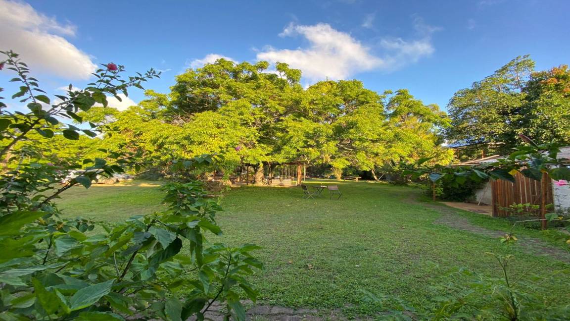 Photo of Others in Hanga Roa