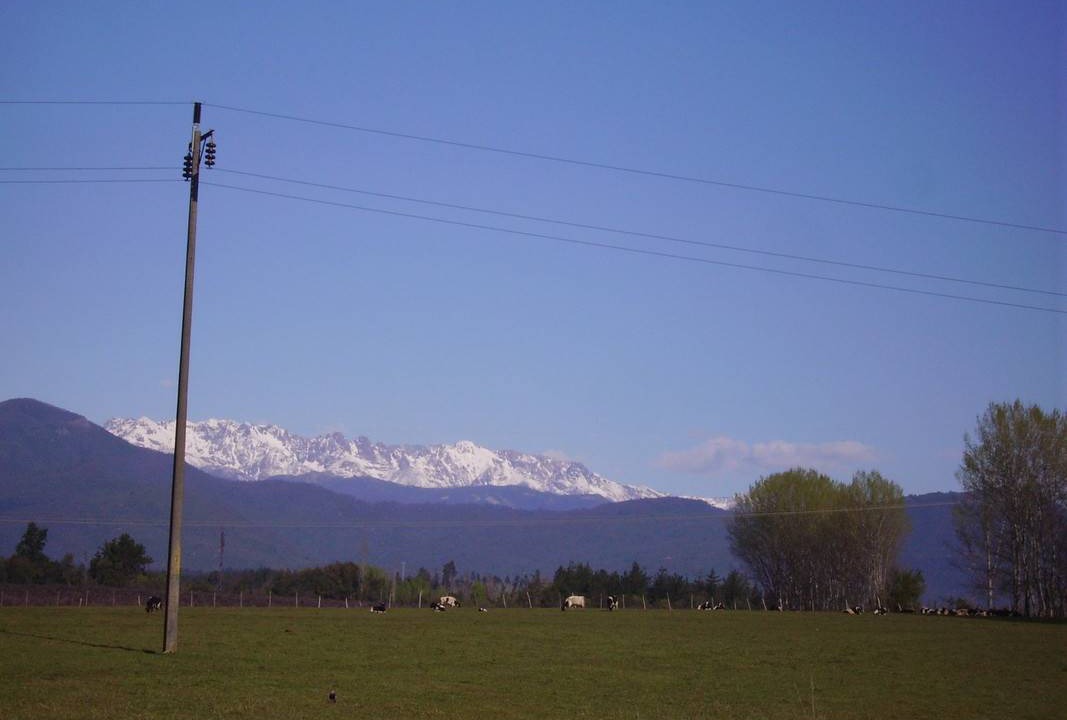 Photo of Others in Bajos de Lircay