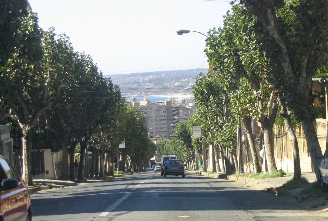 Photo of Others in Vina del Mar