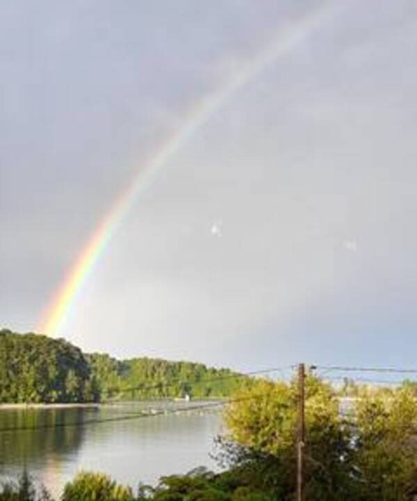 Photo of Others in Los Lagos