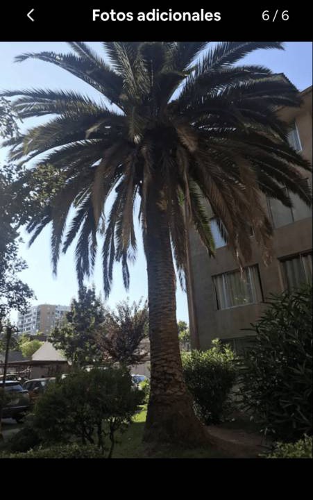 Photo of Buildings in Nunoa