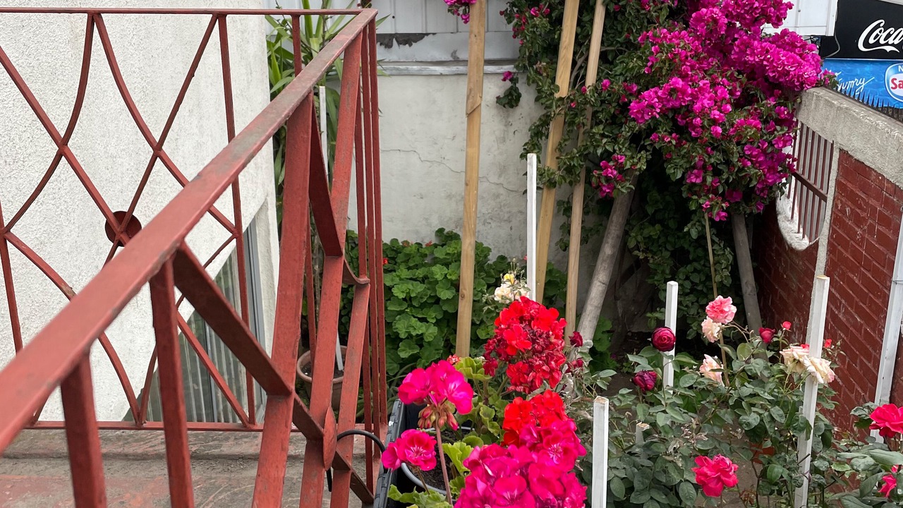 Photo of Patio Balcony in Concepcion