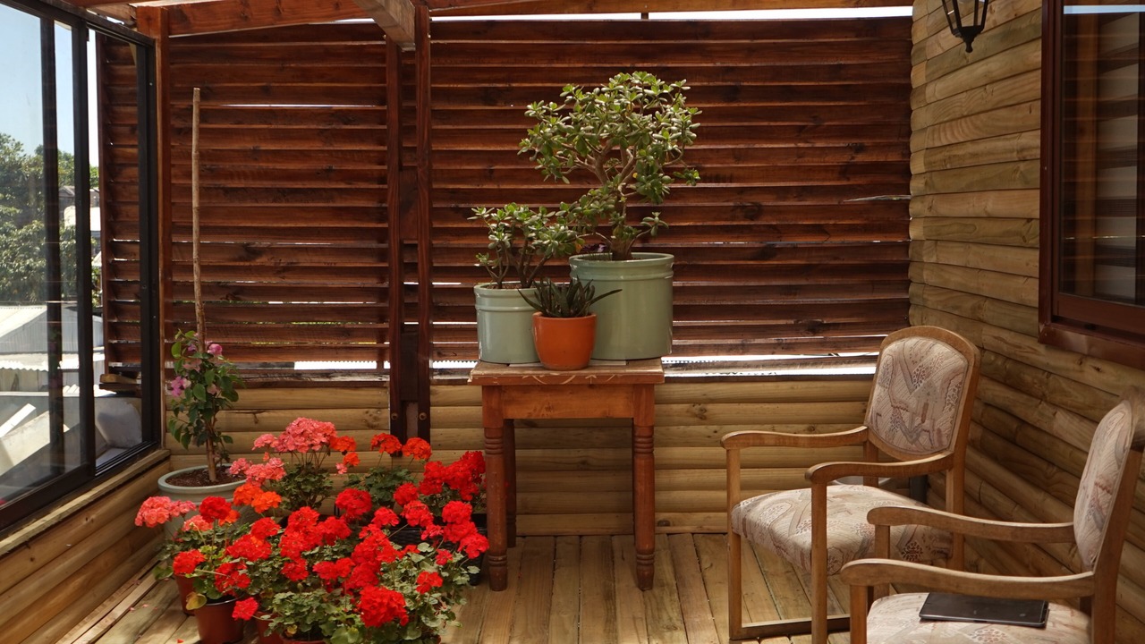 Photo of Patio Balcony in Concepcion