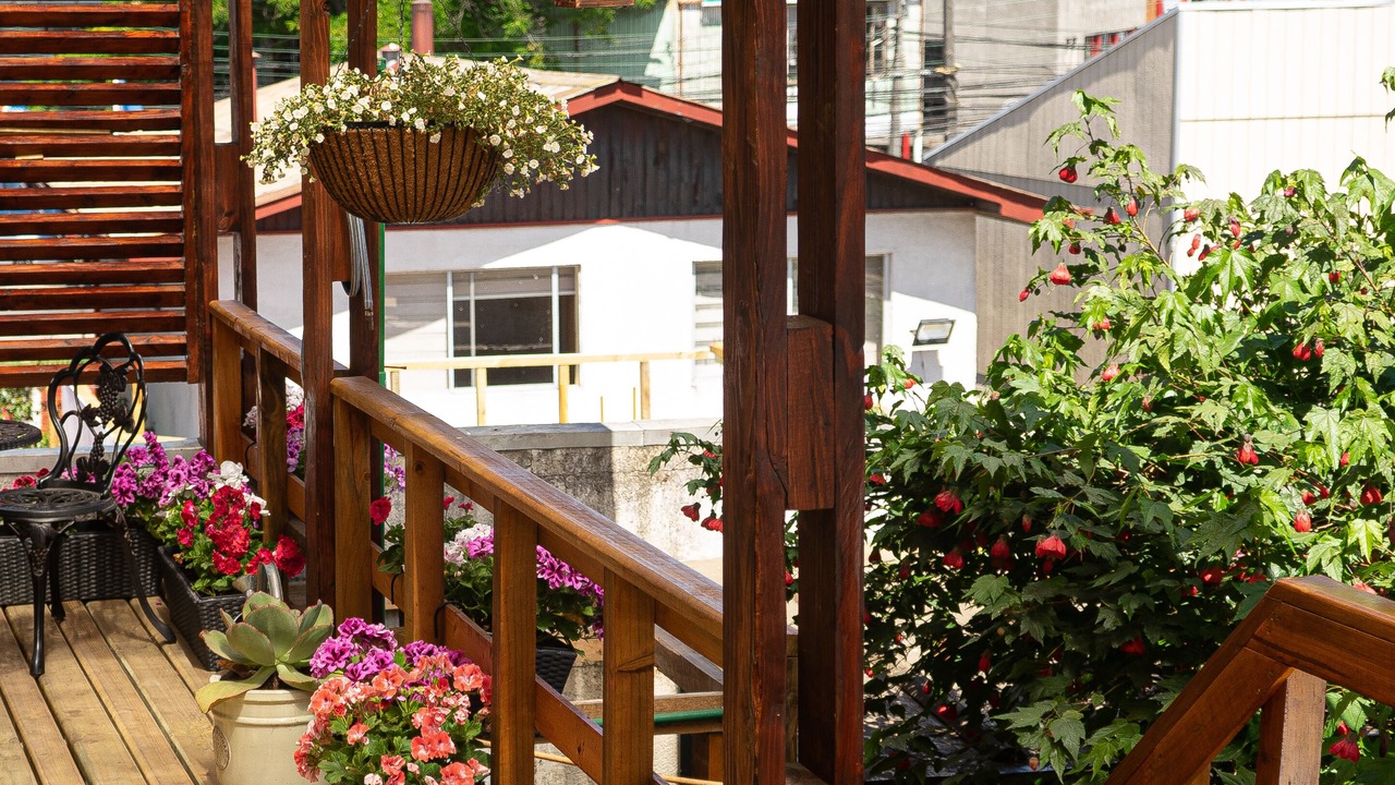 Photo of Outdoor in Concepcion