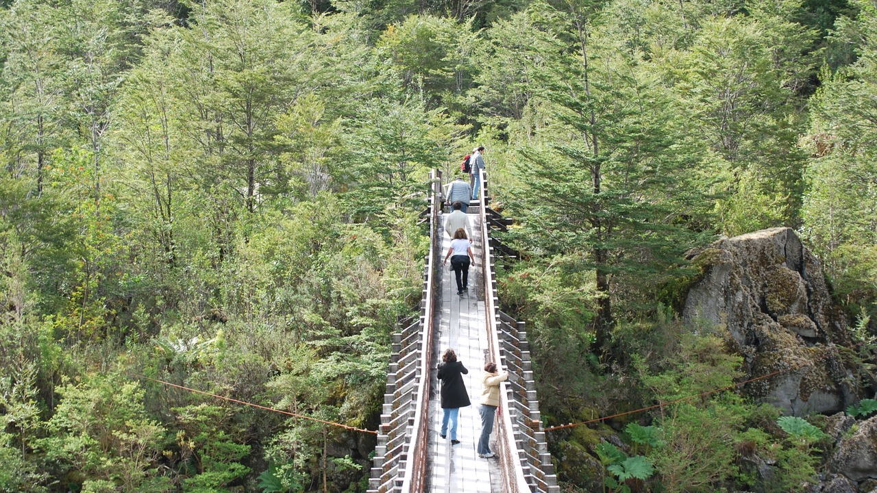 Photo of Others in Puyuhuapi