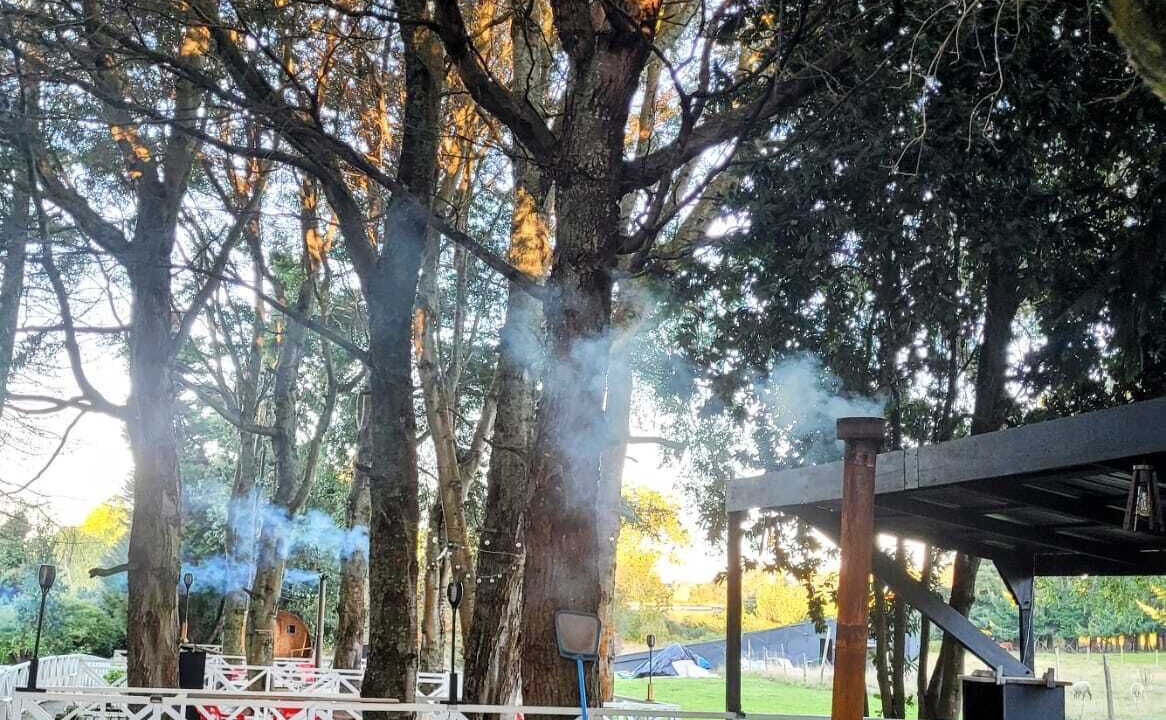 Photo of Outdoor in Llanquihue