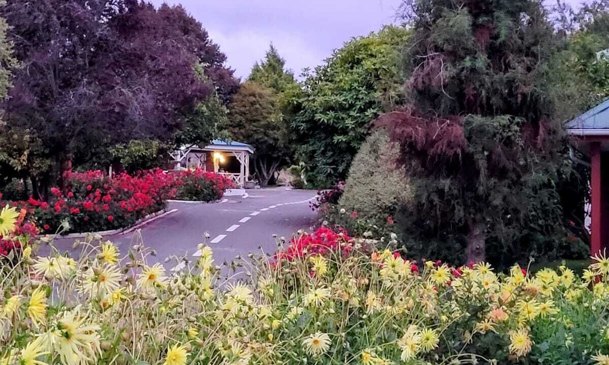 Photo of Outdoor in Llanquihue