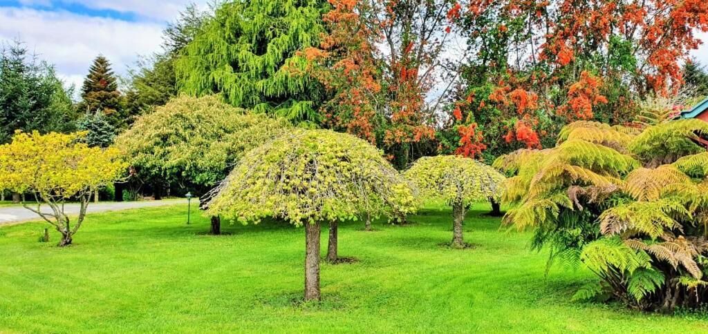 Photo of Outdoor in Llanquihue