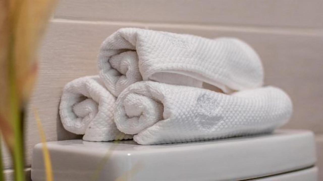 Photo of Bathroom in Curanipe
