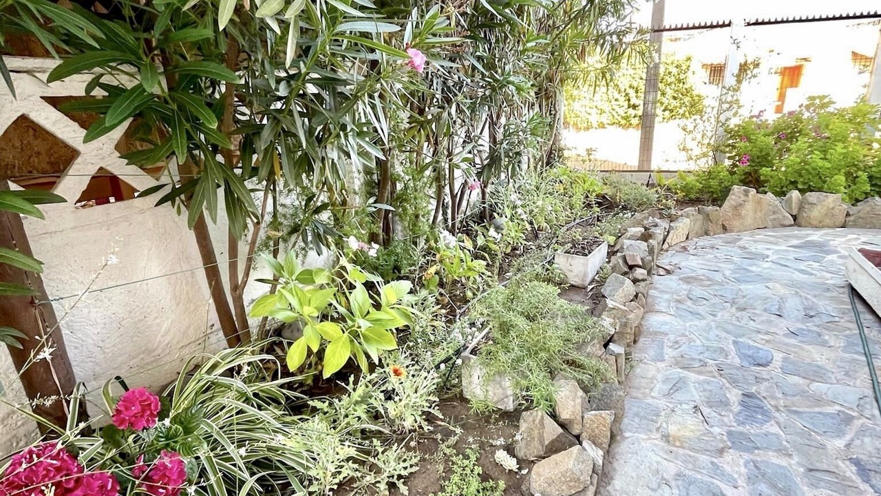 Photo of Outdoor in La Laguna