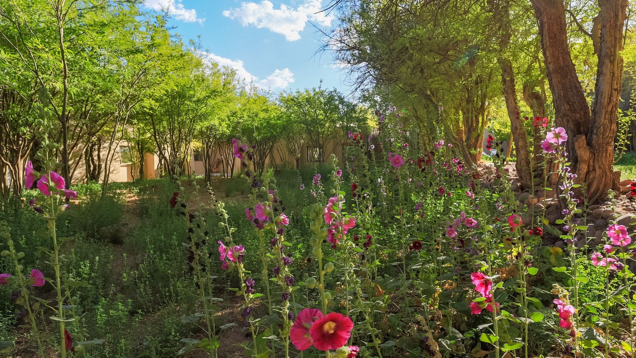 Photo of Outdoor in San Pedro de Atacama