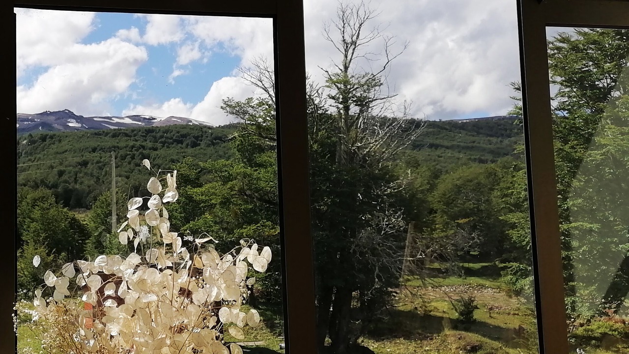 Photo of Outdoor in Coyhaique