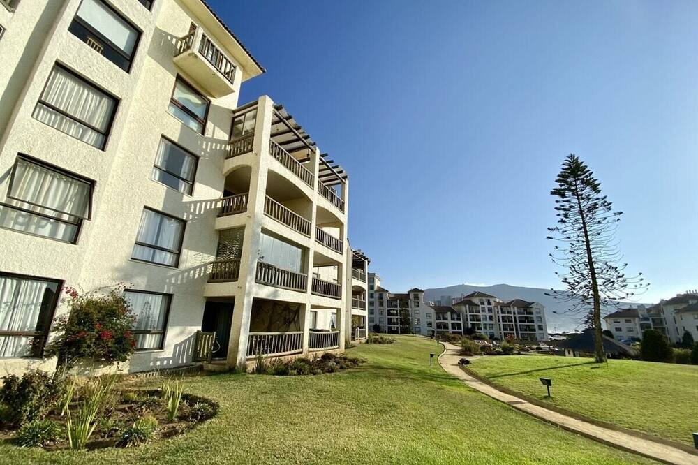 Photo of Outdoor in Papudo