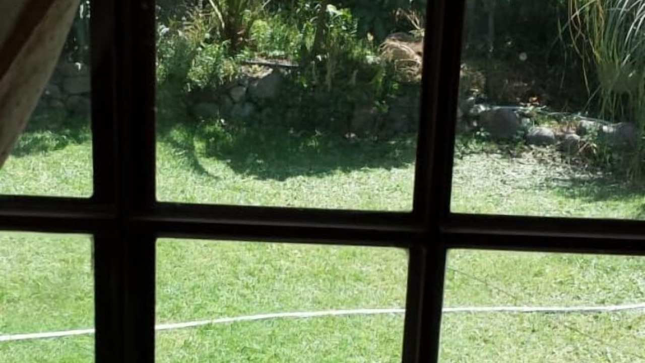 Photo of Outdoor in Olmue