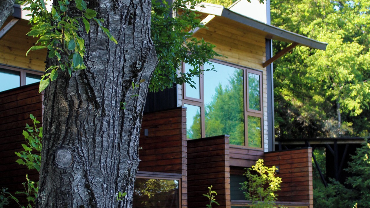 Photo of Patio Balcony in Pucon