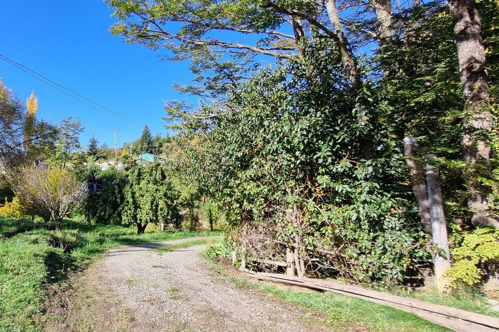 Photo of Outdoor in Luis Soto