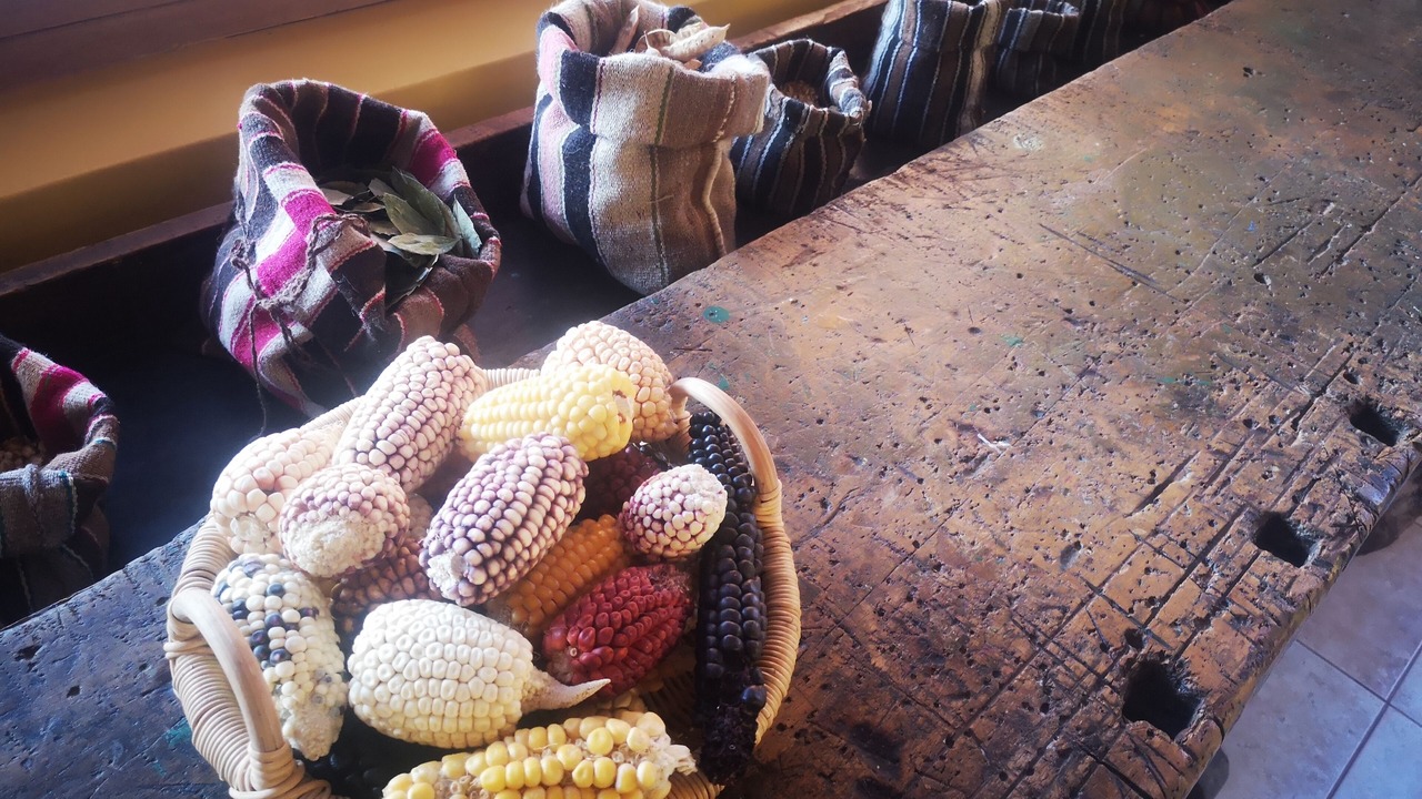Photo of Others in San Pedro de Atacama