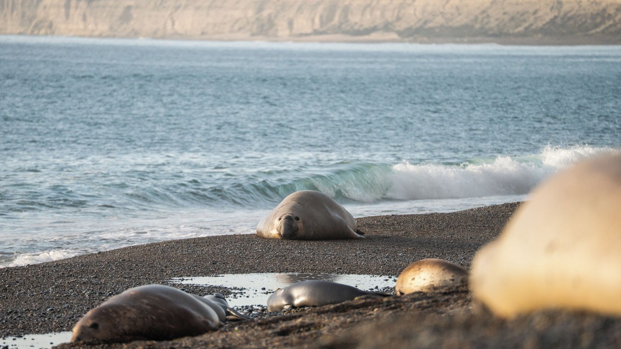Photo of Others in Punta Delgada