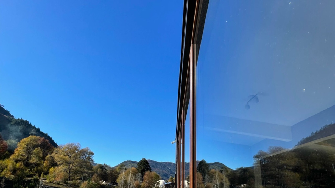 Photo of Outdoor in Malalcahuello