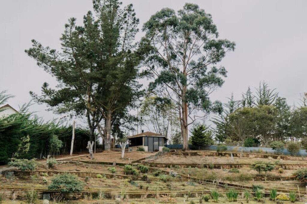 Photo of Outdoor in Tunquen
