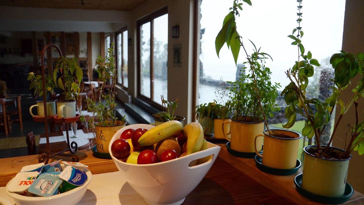 Photo of Others in Pucon