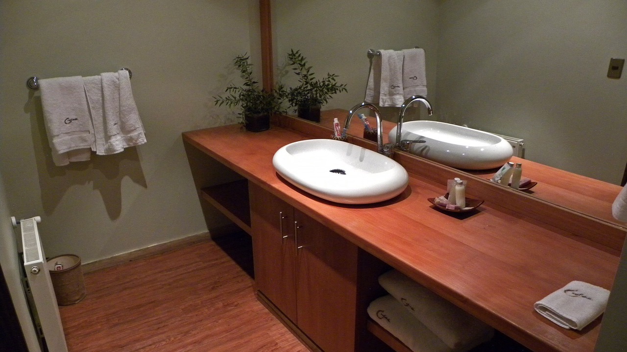 Photo of Bathroom in Pucon