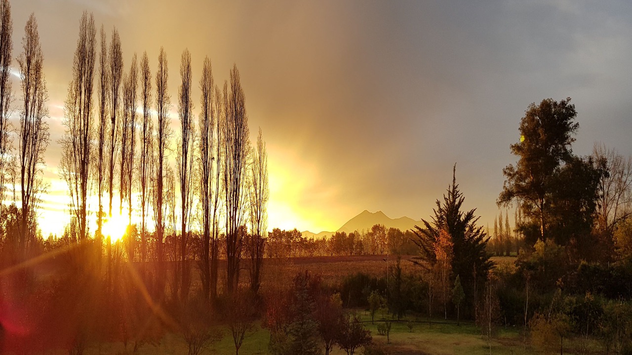 Photo of Outdoor in Buin
