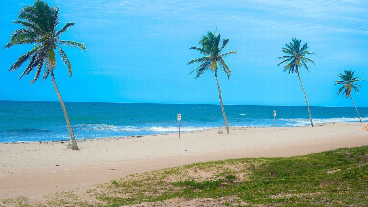 Photo of Others in Pecém