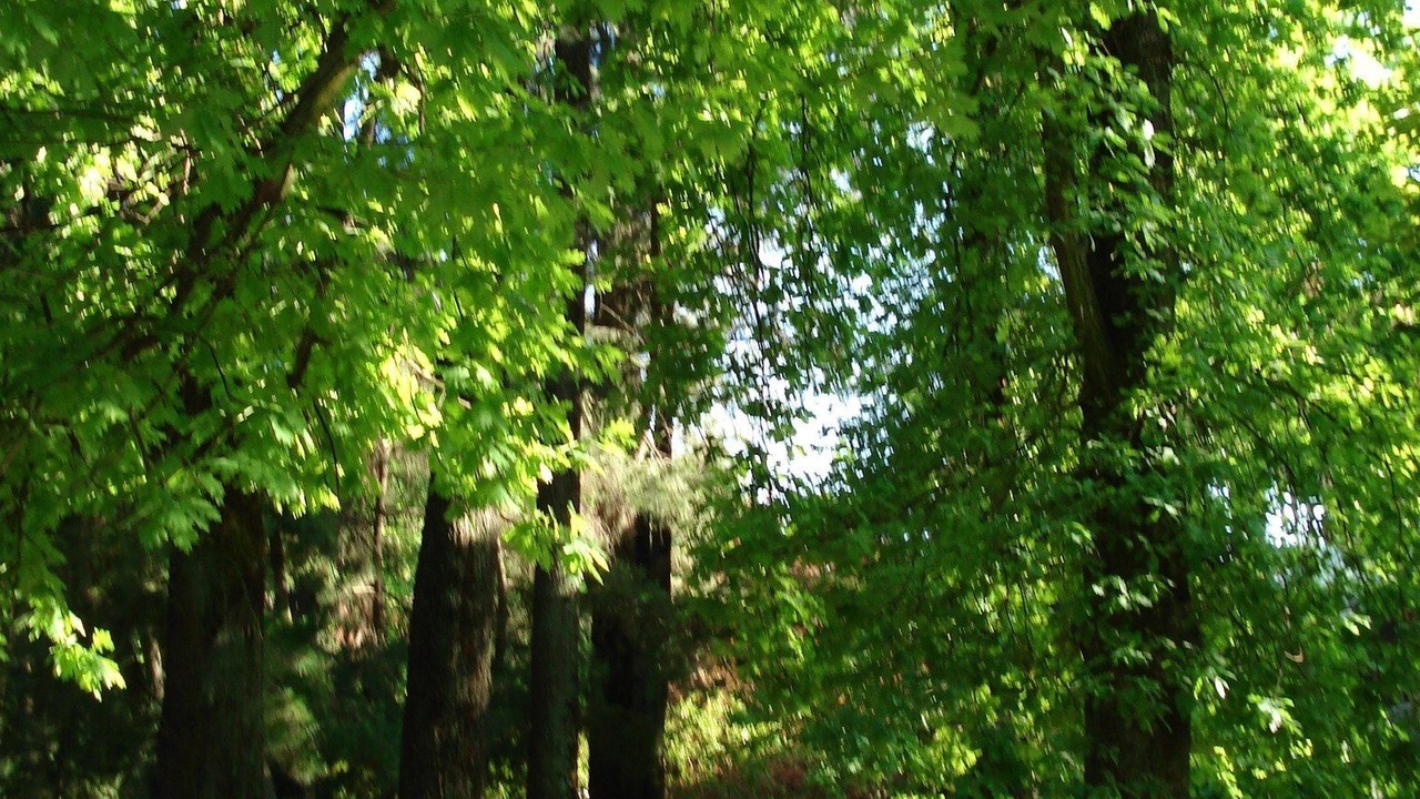 Photo of Outdoor in San Fernando