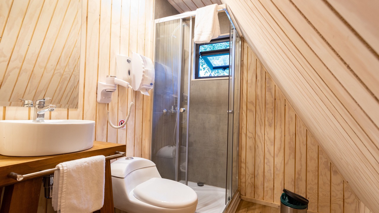 Photo of Bathroom in Puyehue