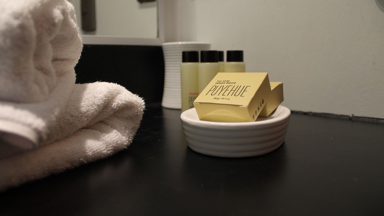 Photo of Bathroom in Puyehue
