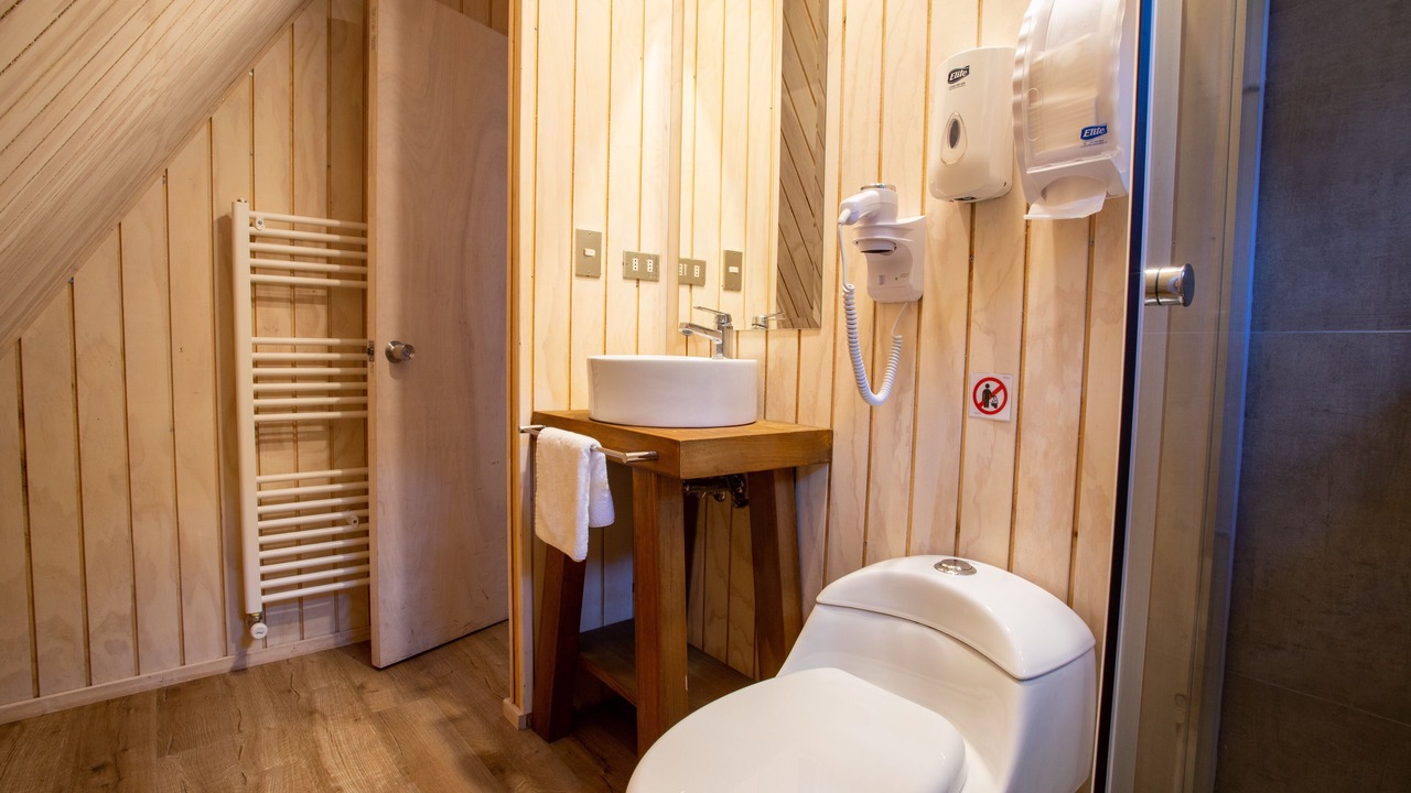 Photo of Bathroom in Puyehue