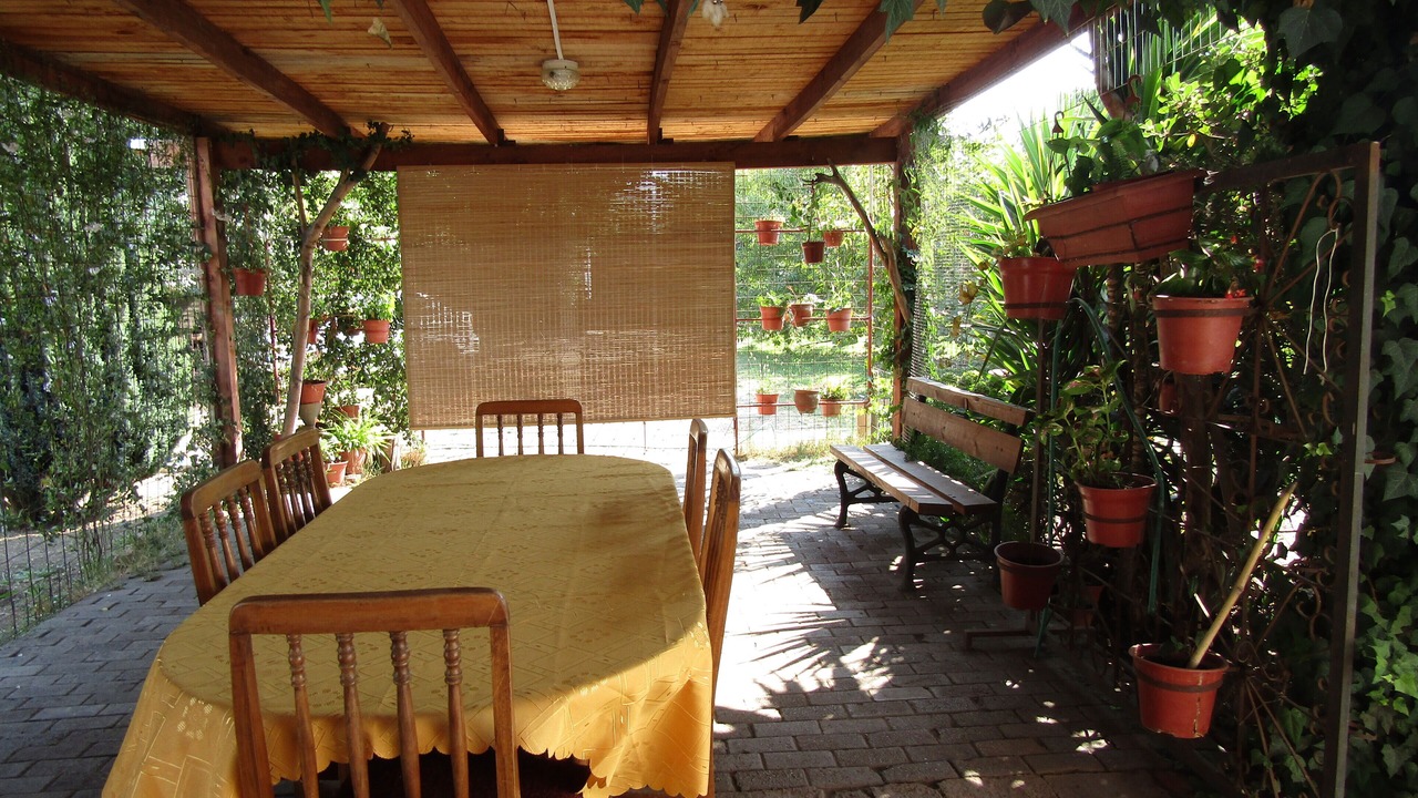 Photo of Outdoor in O'Higgins Region