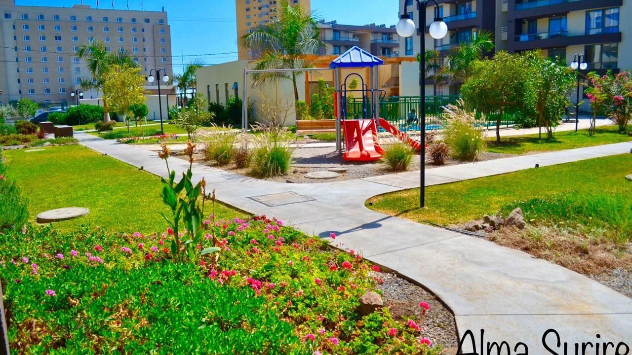 Photo of Outdoor in Arica