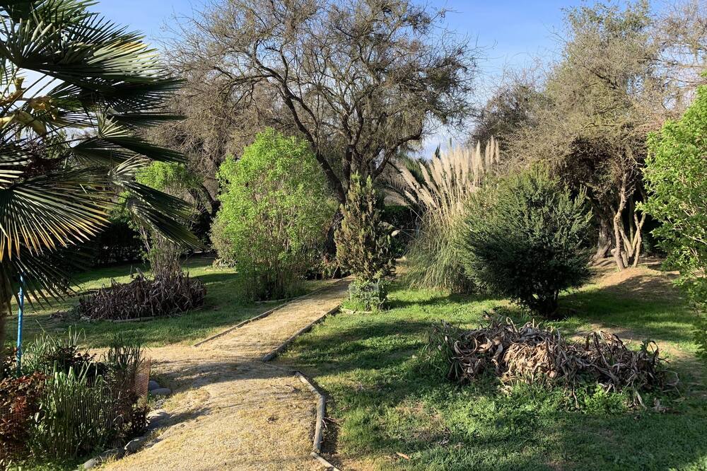 Photo of Outdoor in Casablanca