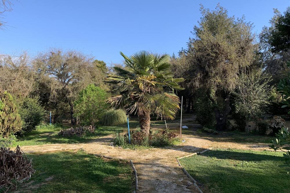 Photo of Outdoor in Casablanca