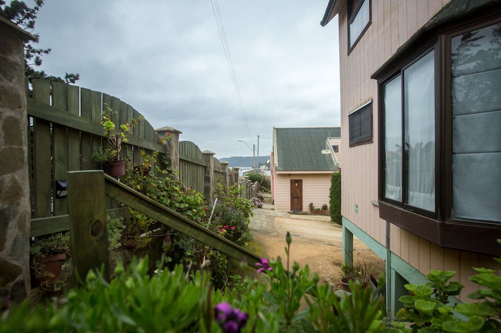Photo of Others in Pichilemu