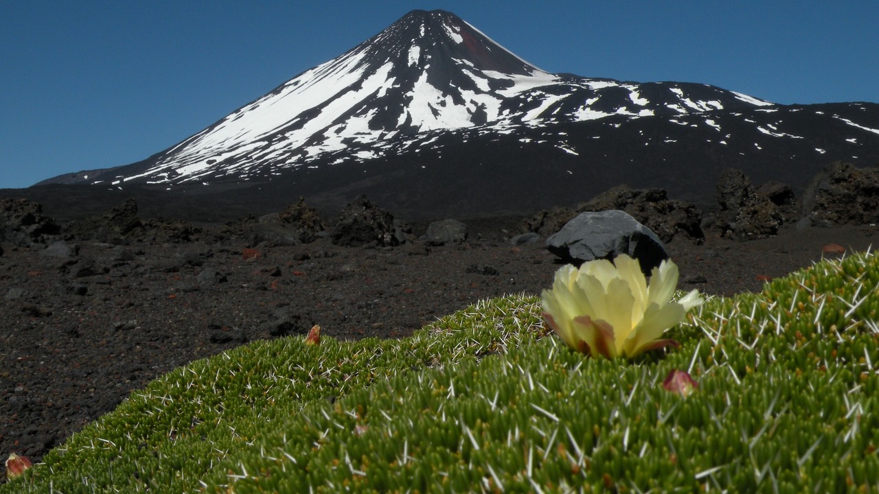 Photo of Outdoor in Antuco
