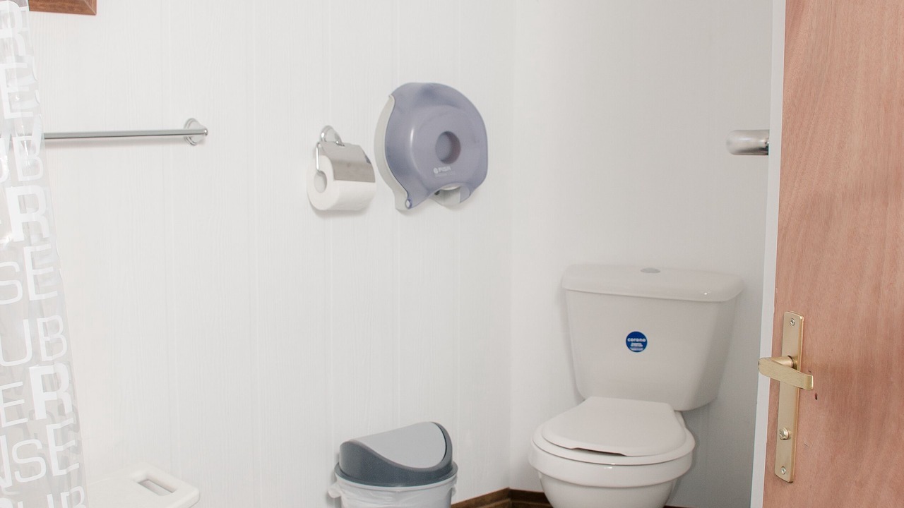 Photo of Bathroom in Antuco