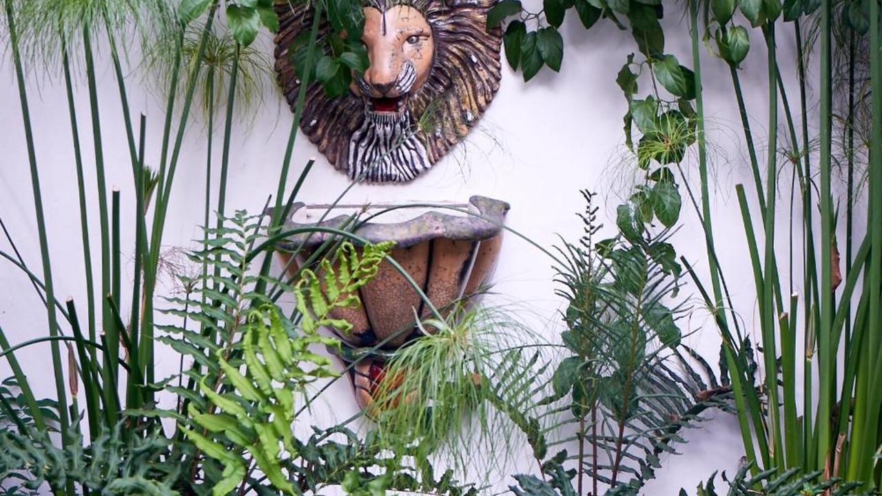 Photo of Outdoor in Playa Ancha