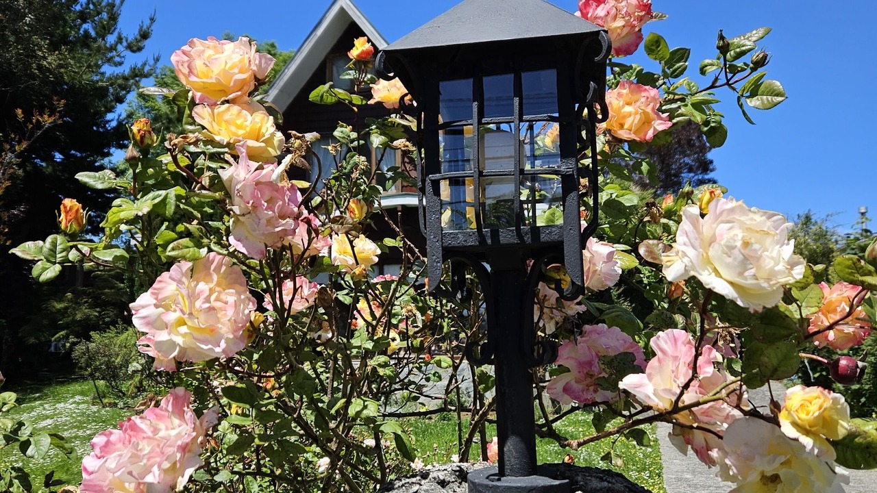 Photo of Outdoor in Puerto Varas